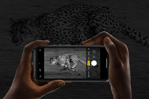 Night Vision System